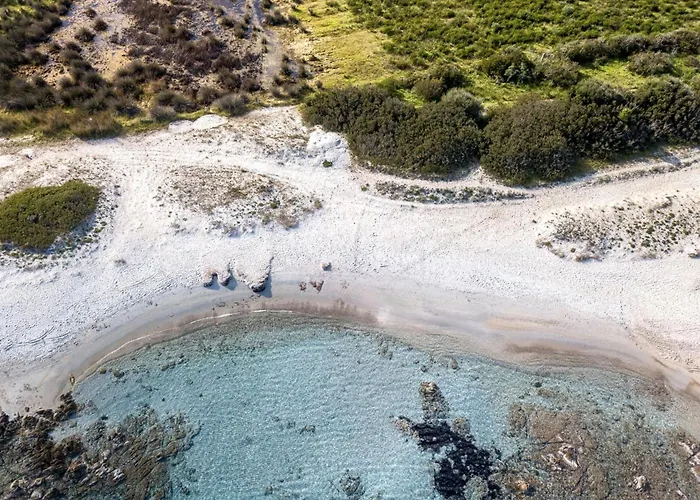 Будинок відпочинку Celeste House With Pool - Happy *