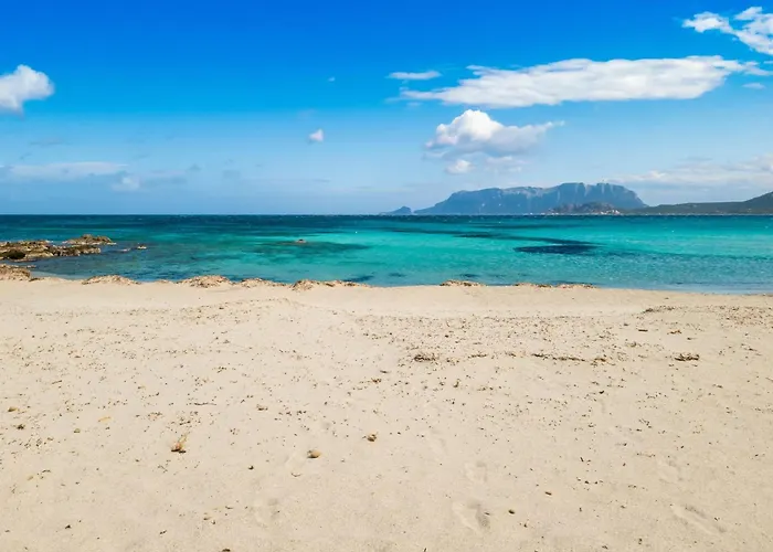 Celeste House With Pool - Happy * Ольбія