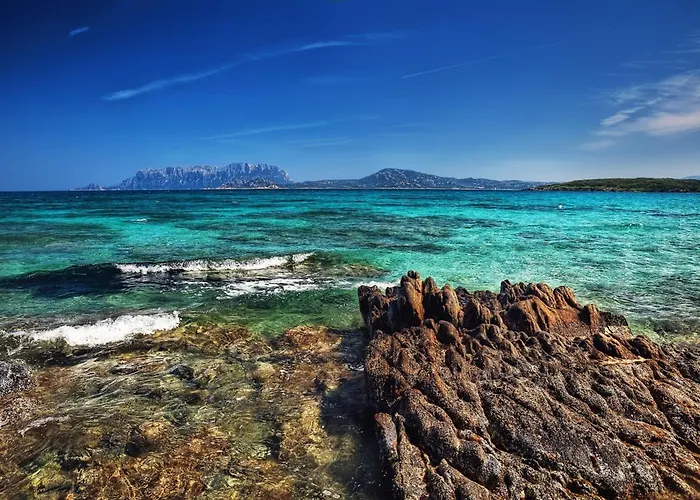 Будинок відпочинку Celeste House With Pool - Happy Ольбія